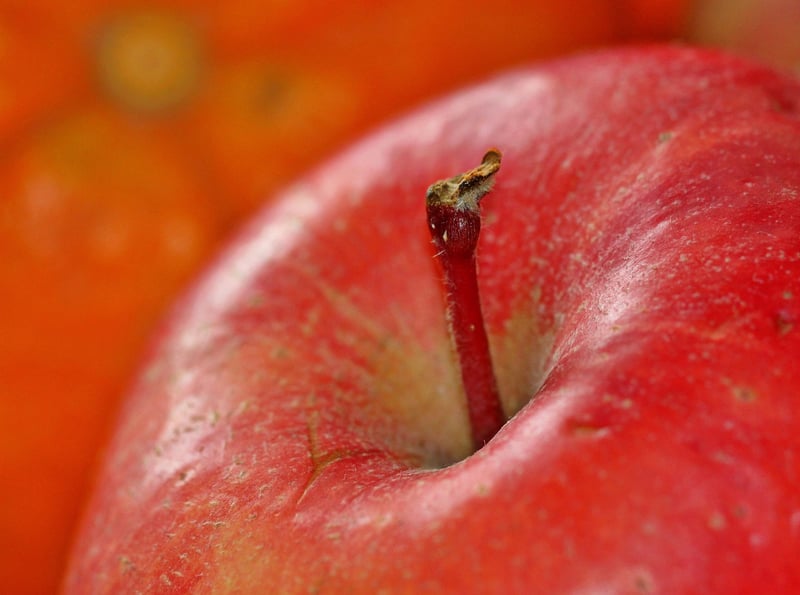 Mindful Eating