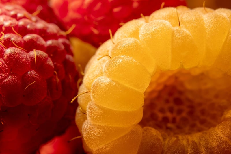 Berries